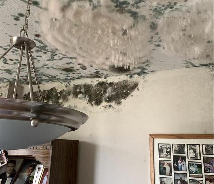 Mold on ceiling in Summit County