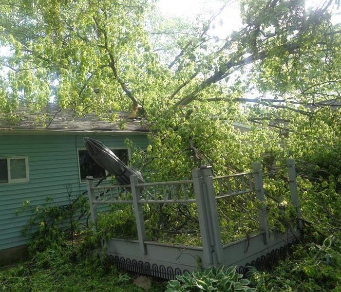 Tree down on house
